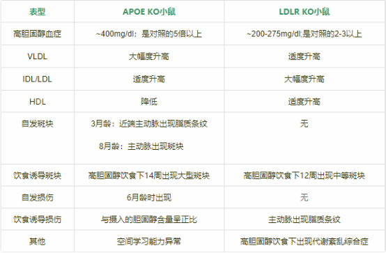 ApoE KO自發(fā)動(dòng)脈粥樣硬化硬化小鼠模型(圖1)